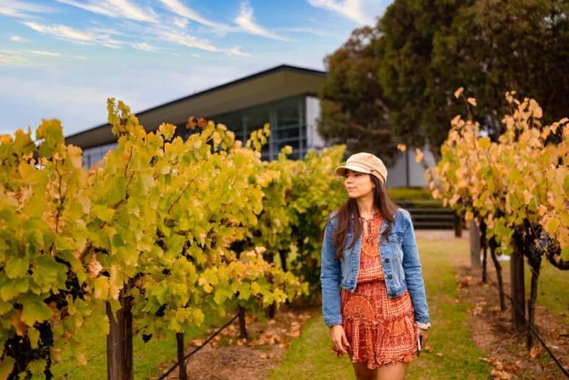 Adelaide: Barossa and Adelaide Hills Tour with Lunch - Key Points