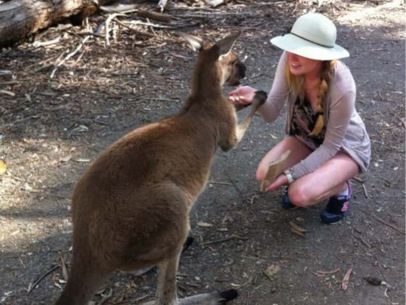 Adelaide: Barossa Day Out: Wines, Brewery, Chocolate & Lunch - Authentic Experiences That Stand Out