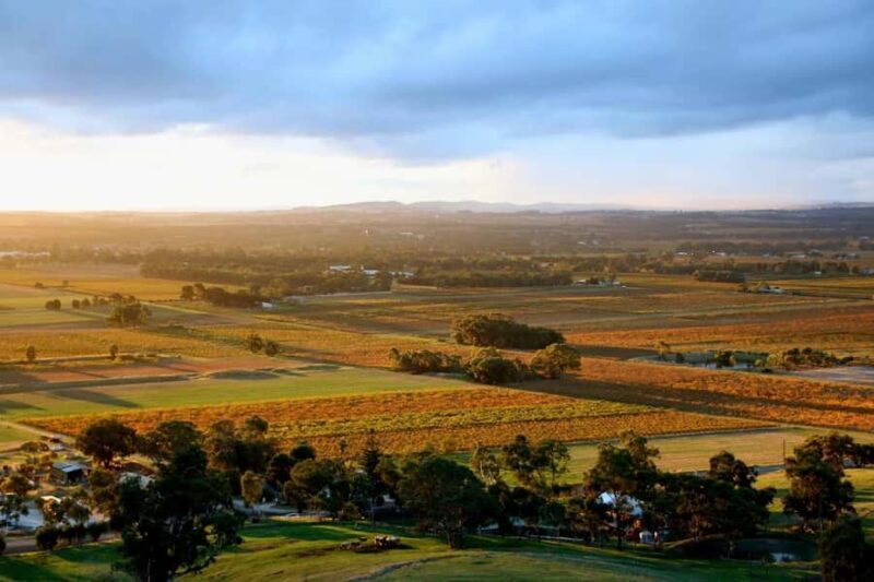 Adelaide: Barossa Private Wine Tour + Your Chosen Tastings - What Past Travelers Say