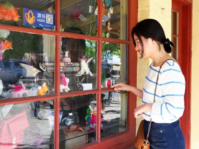 Adelaide: City, Adelaide Hills Villages, and Hahndorf Tour - The Sum Up: Who Will Love This Tour?