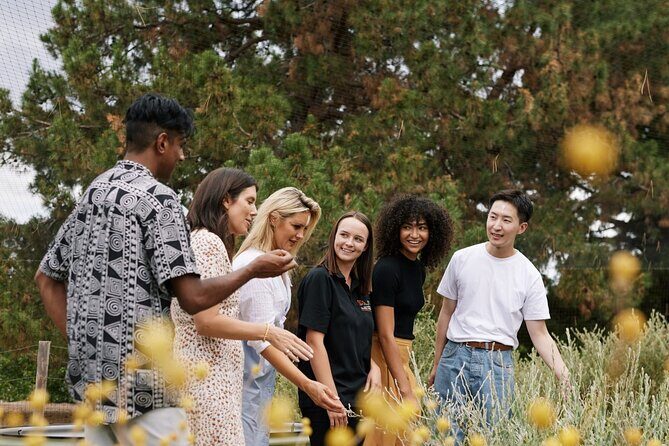 Adelaide City and First Nations Cultural Tour - Final Thoughts