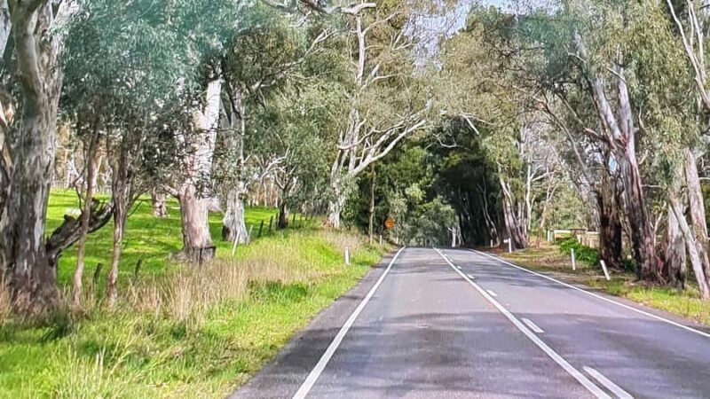Adelaide City Highlights Full-Day Tour - The Itinerary Breakdown: What You Can Expect