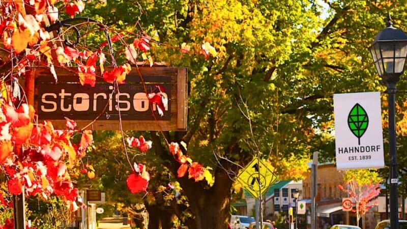 Adelaide City Highlights Half-Day Tour, Mt Lofty & Hahndorf - Price and Overall Value