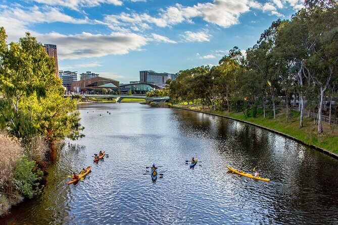 Adelaide City Kayak Tour - A Closer Look at the Adelaide City Kayak Tour