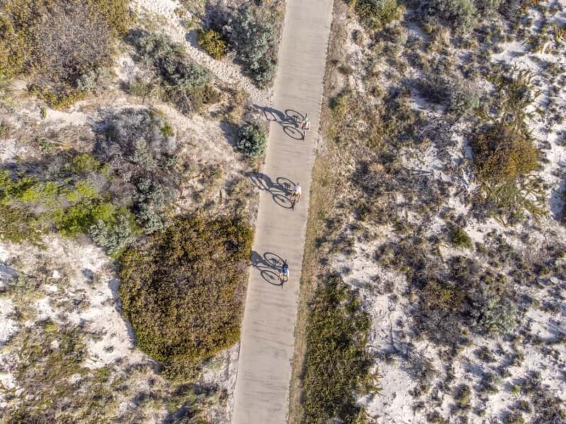 Adelaide: City to Sea, Bike and Kayak Safari - What to Expect on the Day