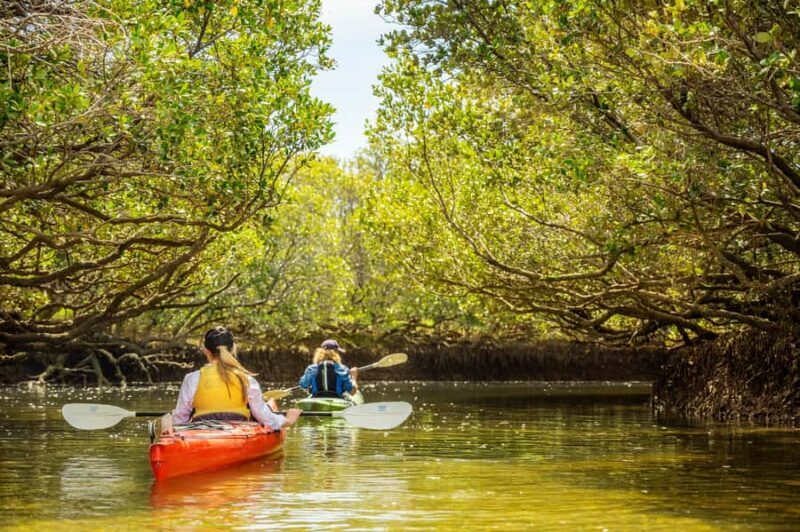 Adelaide: City to Sea, Bike and Kayak Safari - The Value of This Experience