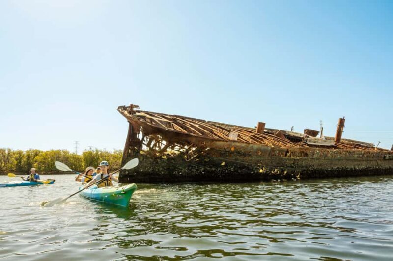 Adelaide: City to Sea, Bike and Kayak Safari - Who Should Consider This Tour?