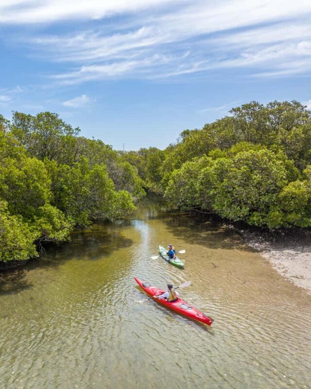 Adelaide: City to Sea, Bike and Kayak Safari - The Sum Up