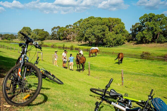 Adelaide City to Sea Bike Tour - The Sum Up
