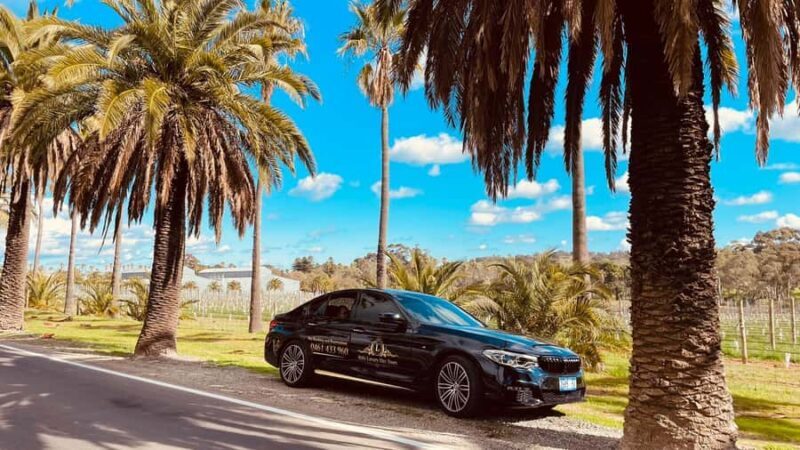 Adelaide Cruise Ship Tours - Key Points