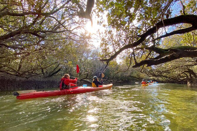 Adelaide Dolphin Sanctuary and Ships Graveyard Kayak Tour - Frequently Asked Questions