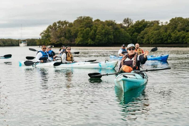 Adelaide: Dolphin Sanctuary Eco Kayaking Tour - Final Verdict