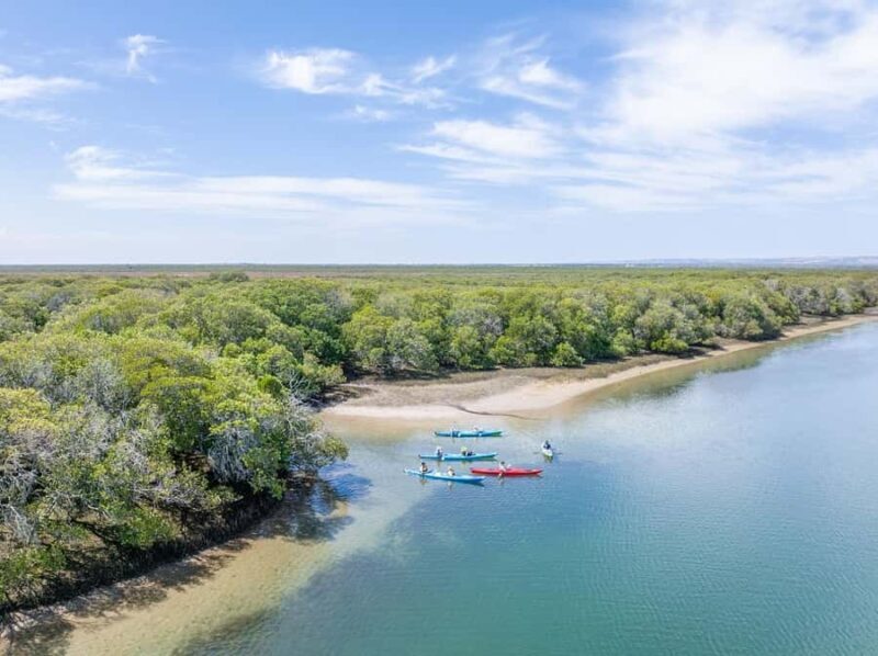 Adelaide: Dolphin Sanctuary Mangroves Kayak Tour - The Sum Up