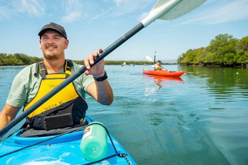 Adelaide: Dolphin Sanctuary Single or Double Kayak Rental - An Overview of the Experience