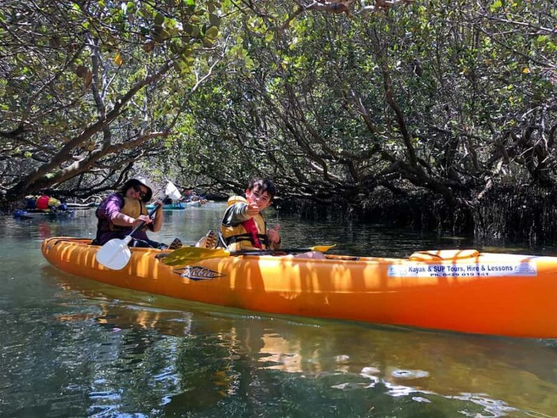 Adelaide: Dolphin Sanctuary Single or Double Kayak Rental - Practical Details and Tips
