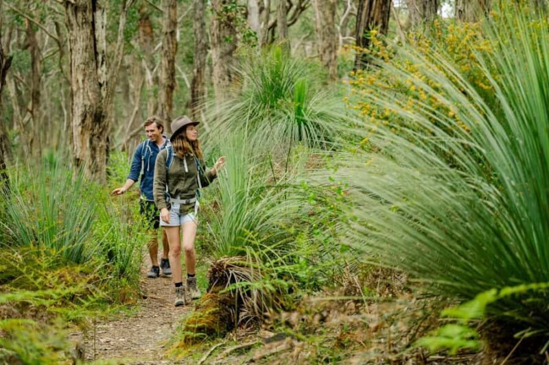 Adelaide: Fleurieu Gourmet 4-Day Walking Tour - Who This Tour Is Best For