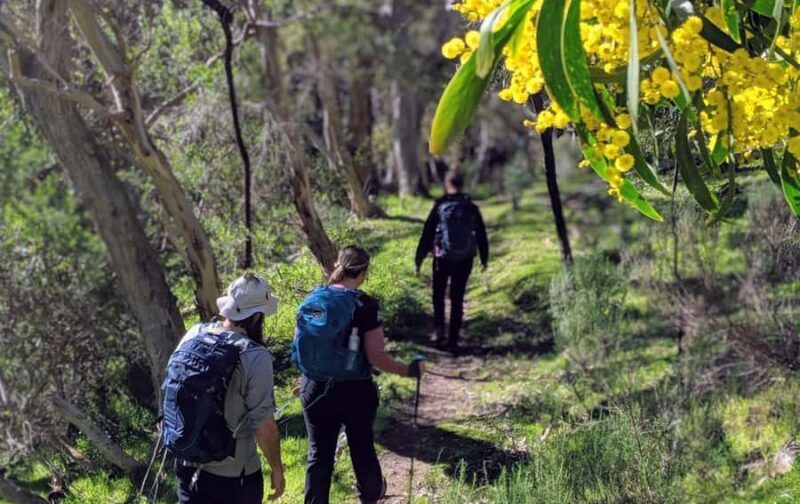 Adelaide: Fleurieu Gourmet 4-Day Walking Tour - Final Thoughts