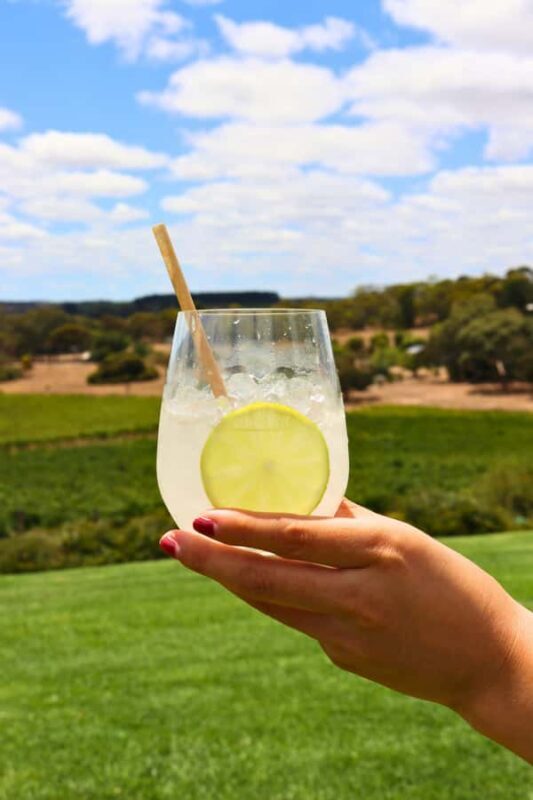 Adelaide: Fleurieu Rock Climb & Gin Tasting - Key Points