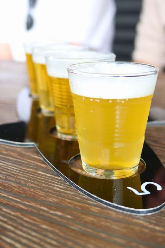 Adelaide: Fleurieu Snorkel & Beer Safari - Key Points