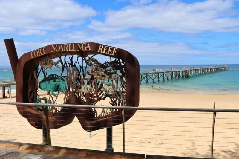 Adelaide: Fleurieu Snorkel & Beer Safari - An Honest Look at the Fleurieu Snorkel & Beer Safari