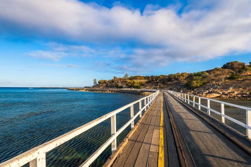 Adelaide: Fork & Grape Safari 4WD Tour - Why This Tour Stands Out