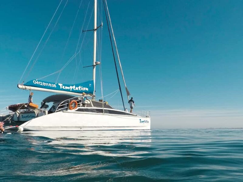 Adelaide: Glenelg Twilight Catamaran Cruise with Drink - The Atmosphere and Group Size