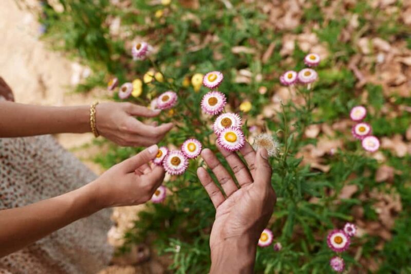 Adelaide: Guided Cultural Tour of Adelaide Botanic Garden - Who Should Consider This Tour?