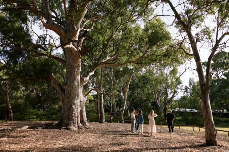 Adelaide: Guided Warriparinga Cultural and Historical Tour - Introduction