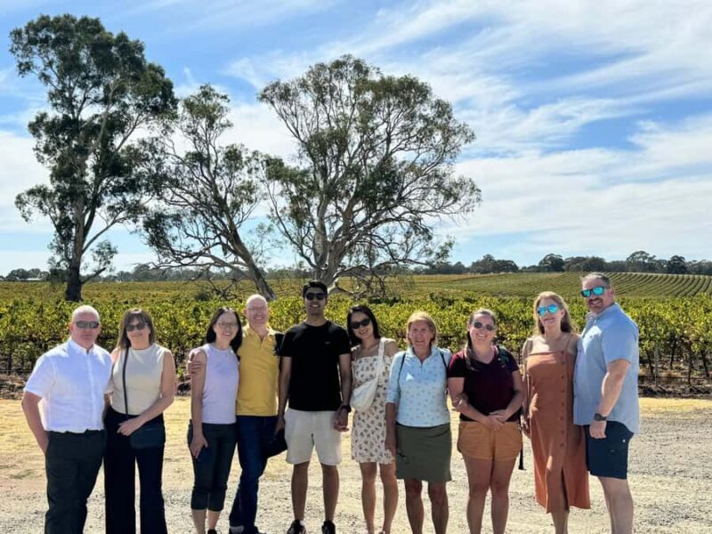 Adelaide: Half-Day City Highlights, Mt. Lofty, and Hahndorf - Who Should Consider This Tour?
