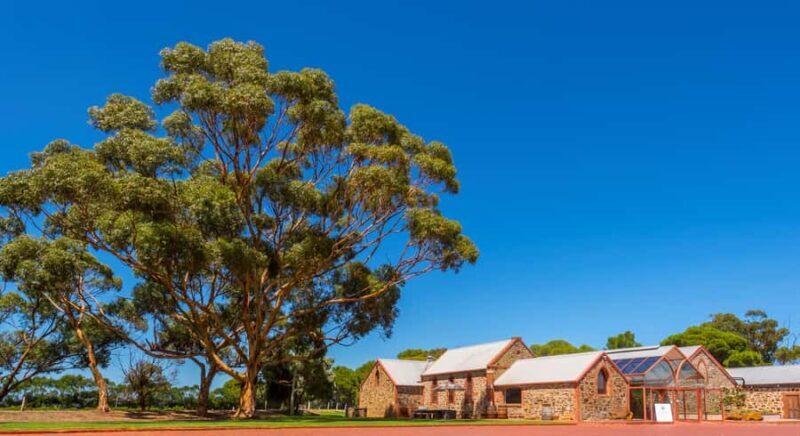 Adelaide: Half-day McLaren Vale & Glenelg Wine Tasting Tour - Key Points