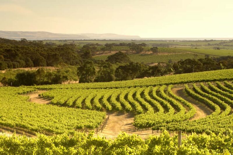 Adelaide: Half-day McLaren Vale & Glenelg Wine Tasting Tour - FAQ