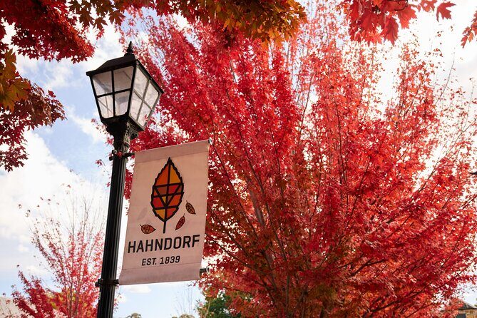 Adelaide Highlights, Hahndorf & McLaren Vale Wine Tasting and Sightseeing Tour - Final Thoughts