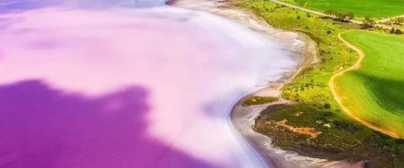 Adelaide Highlights: Wine, Whispering Wall & Pink Lake Tour - Key Points