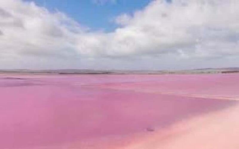 Adelaide Highlights: Wine, Whispering Wall & Pink Lake Tour - Who Should Consider This Tour?