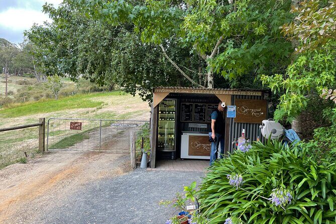 Adelaide Hills and Hahndorf - Half Day Private Scenic Tour - Key Points