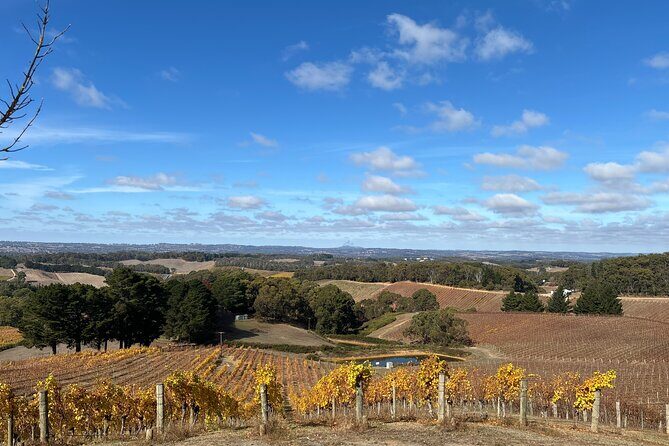 Adelaide Hills and Hahndorf - Half Day Private Scenic Tour - Who Would Benefit Most?