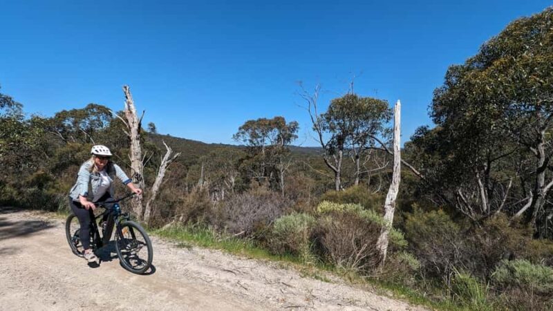 Adelaide Hills: E-Bike Self-Guided Tour with Coffee and Cake - Exploring the Adelaide Hills: E-Bike Self-Guided Tour with Coffee and Cake