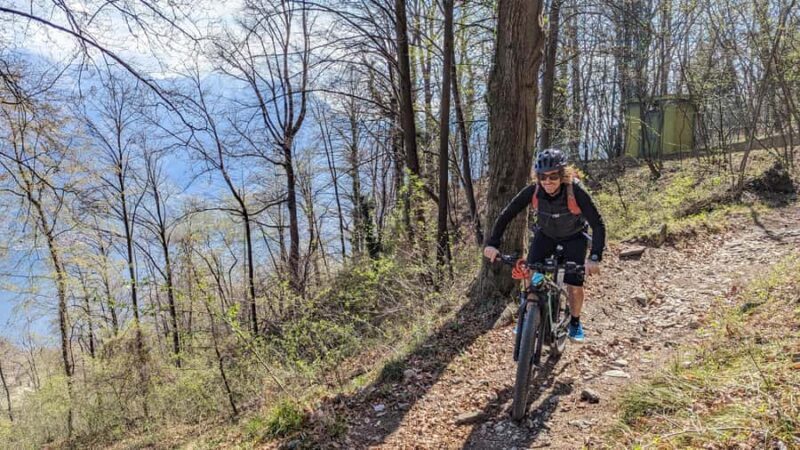 Adelaide Hills: E-Bike Self-Guided Tour with Coffee and Cake - What the Reviews Say