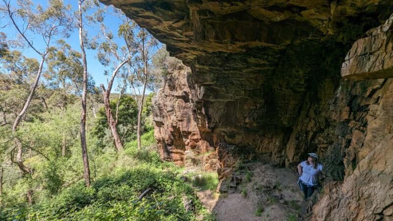 Adelaide Hills: E-Bike Self-Guided Tour with Coffee and Cake - Who Will Love This Tour?