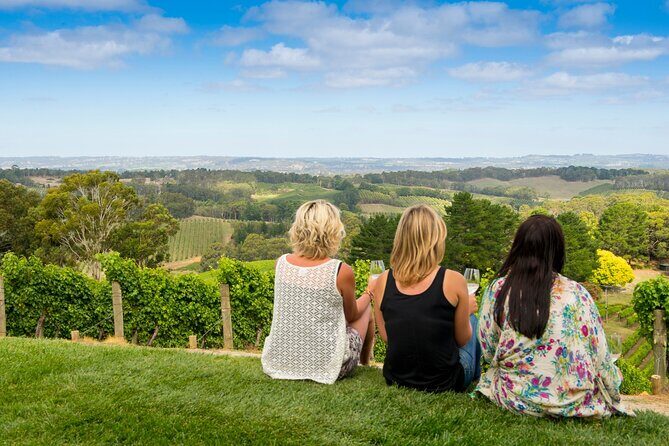 Adelaide Hills Luxury Wine Tour - Private Day Tour - Who Should Consider This Tour?