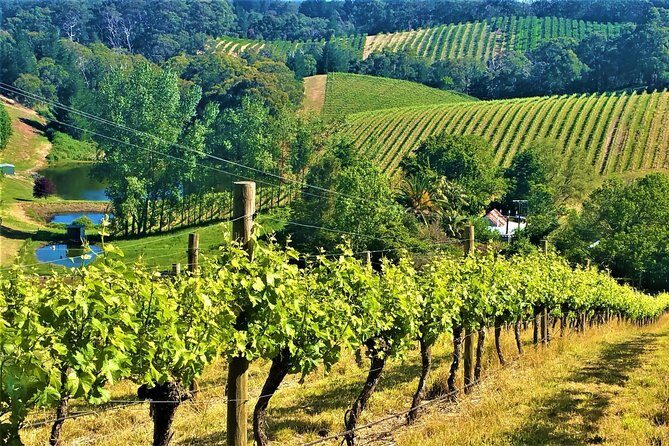 Adelaide Hills Private Day Tour - Key Points