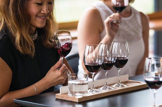 Adelaide Hills Regional / Hahndorf German Village Tour - Who is This Tour Best For?