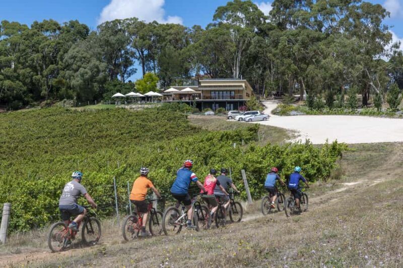 Adelaide Hills: Self-guided E-Bike wine tour with Lunch - Who Should Consider This Tour