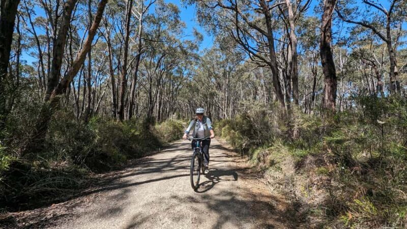 Adelaide Hills: Self-guided E-Bike wine tour with Lunch - FAQ