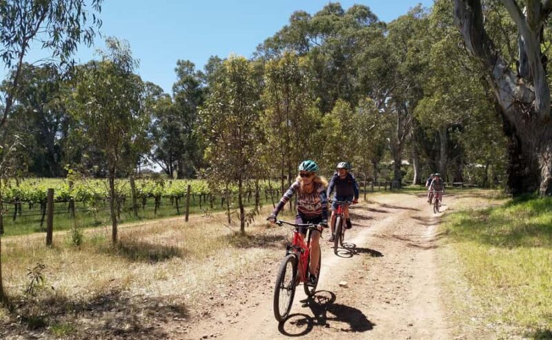Adelaide Hills: Self-guided E-Bike wine tour with Lunch - Final Thoughts