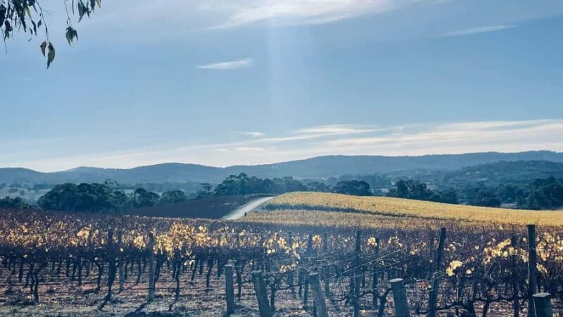 Adelaide Hills Tour - The Itinerary in Detail
