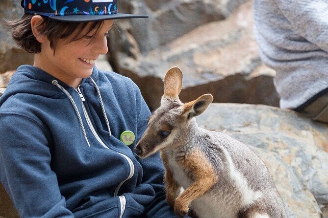 Adelaide Hills Wine & Wildlife Private Tour, inc Hahndorf & lunch - Key Points