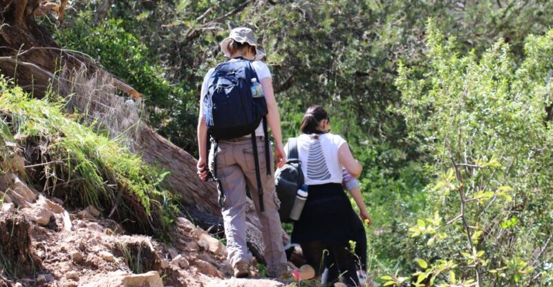 Adelaide: Morialta Wilderness and Wildlife Hike - Practical Tips for Travelers