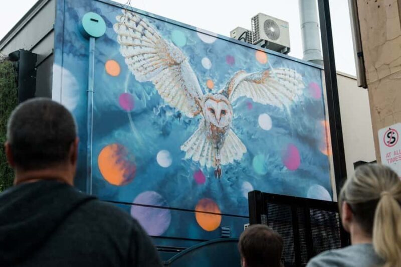 Adelaide: Paint and Palate Street Art Tour - The Practical Details