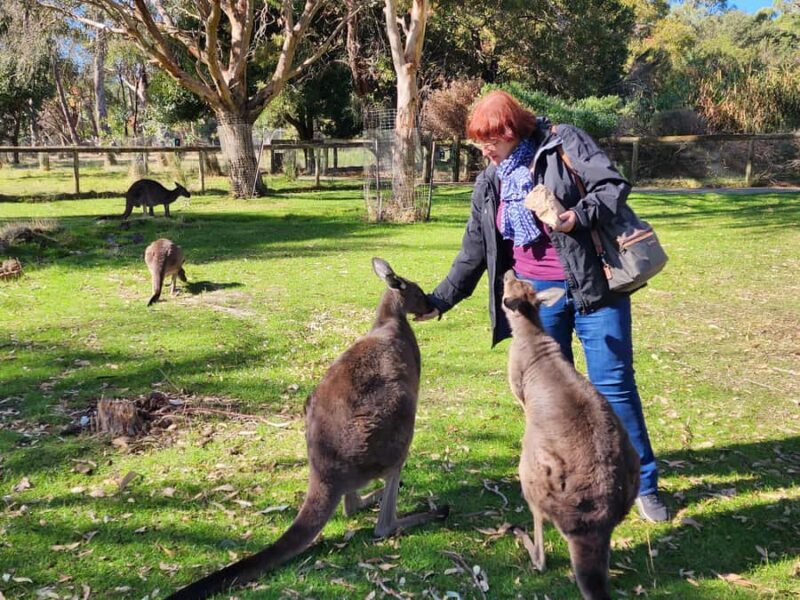 Adelaide: Premium Adelaide Hills Cleland and Hahndorf Tour - An Unforgettable Day in the Adelaide Hills